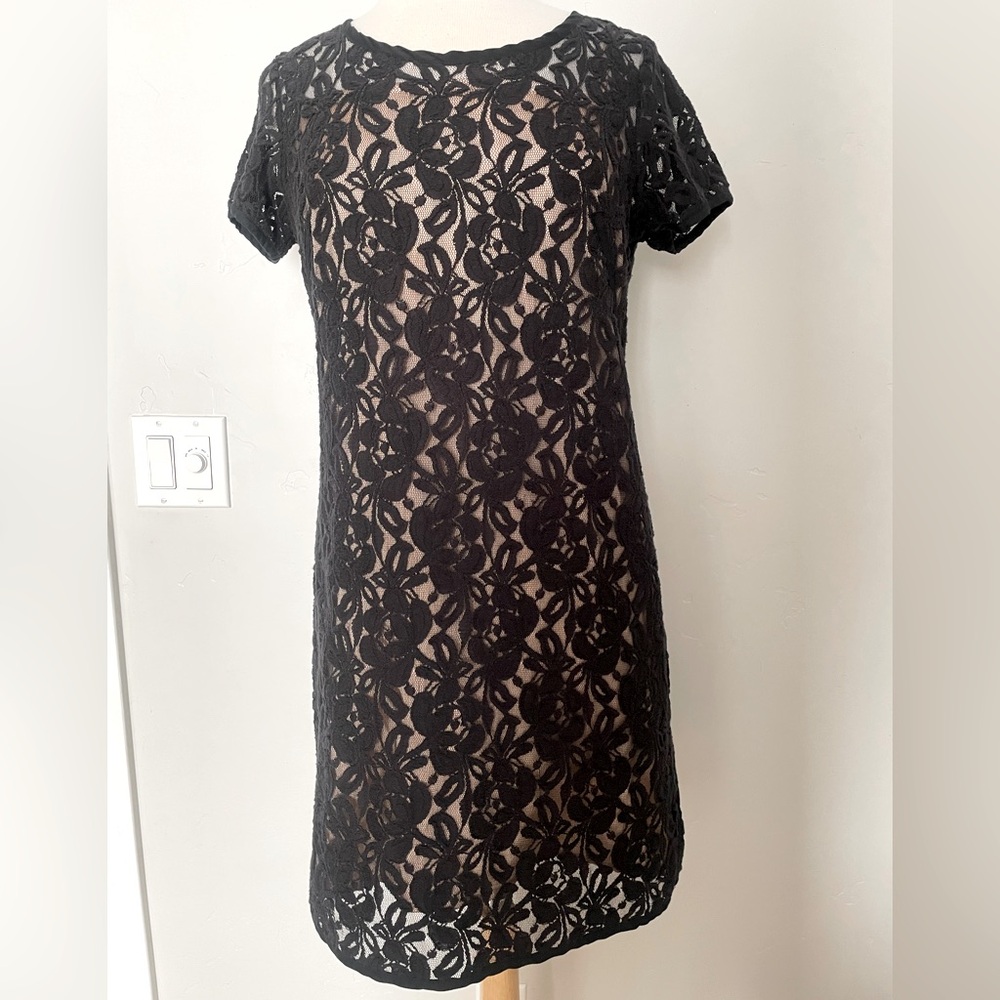 LOFT lace dress